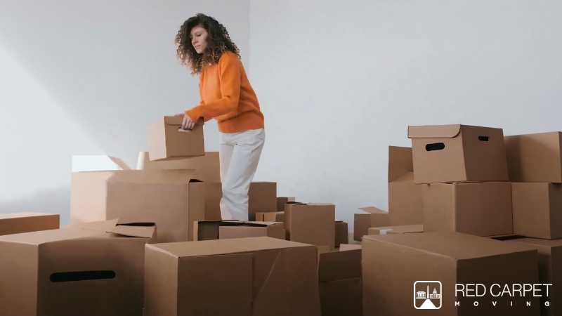Make your next move stress-free with Network Moving — trusted by over 73,000 happy customers with a 4.9/5 rating. We specialize in long distance, interstate, and cross-country moves for both homes and - Digital concept art for illustrative purpose, tags: interstate - Monok